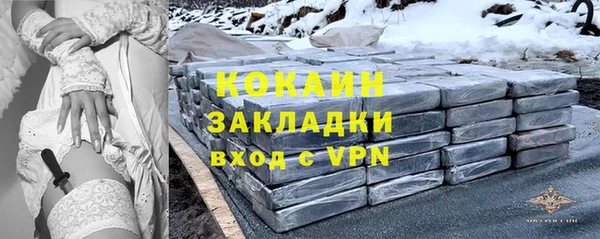 дживик Белокуриха