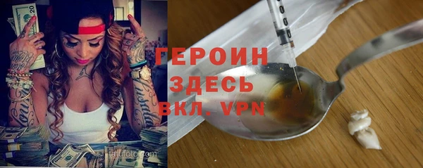 дживик Белокуриха